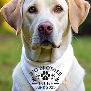 May include: A white dog wearing a white bandana with black text that reads "Big Brother - To Be - June 2025". The bandana has a paw print with a heart in the center and small leaf designs.