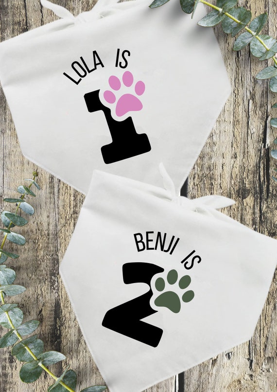 Personalised dog top birthday bandana