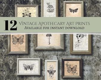 Apothecary Prints: Vintage Nature Art, Set of 12 (Digital Download)