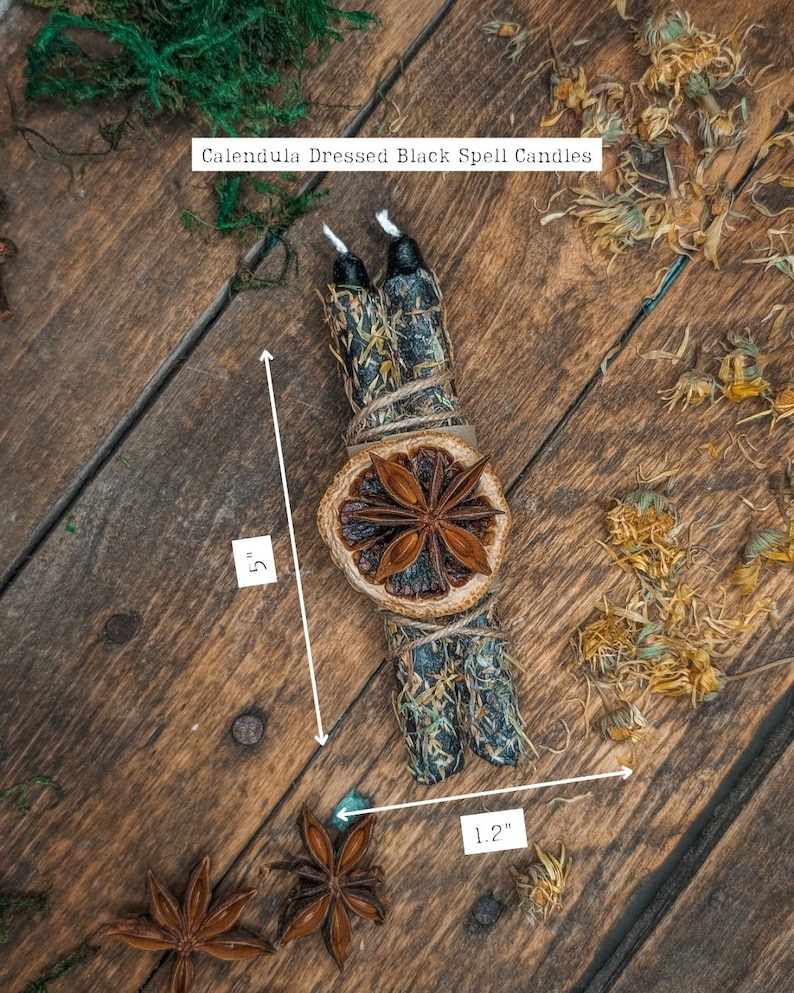 May include: Two black spell candles, 5 inches tall, wrapped with dried herbs and twine, and adorned with a dried orange slice and star anise. The text on the image reads "Calendula Dressed Black Spell Candles".