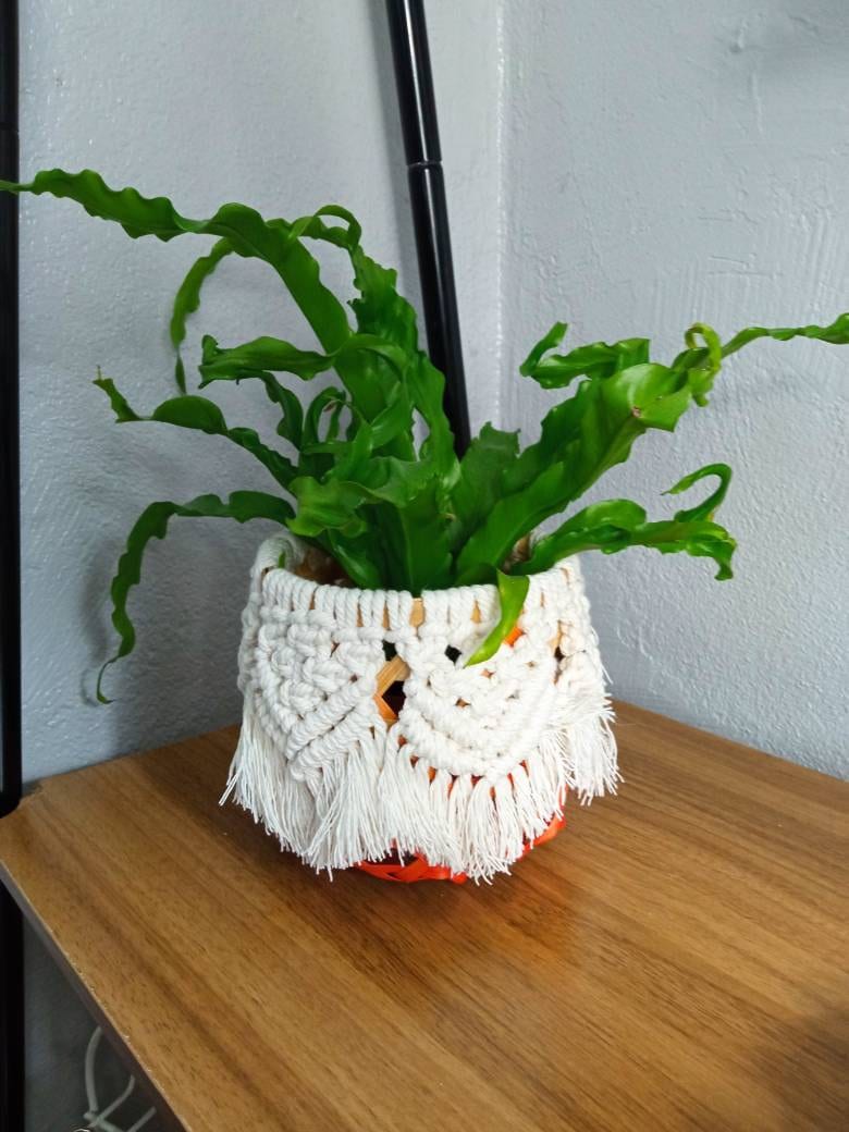 Cache Pot Osier Macramé