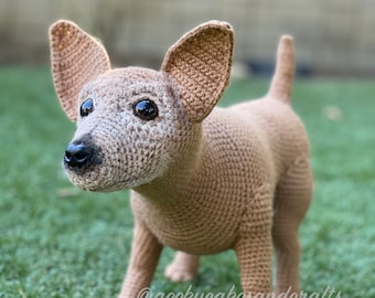 Daisy the Chihuahua Crochet Pattern ONLY