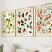 see more listings in the Fruit Prints section