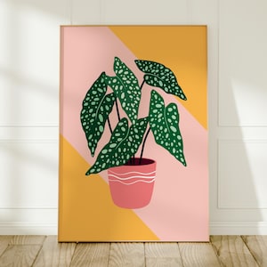 May include: A framed art print depicting a houseplant illustration. The plant has large green leaves with white spots, and is in a pink pot with white stripes. The background is a geometric design of pink and yellow.