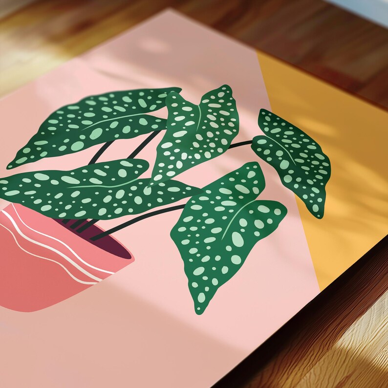 May include: A botanical illustration featuring a potted plant with large, green leaves speckled with white dots. The plant is in a pink pot, set against a pink and yellow geometric background.