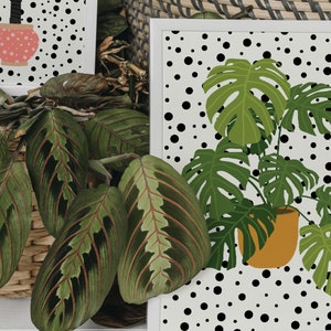Monstera Print, Botanical Wall Art, Unframed 4x6/5x7/8x10/A6/A5/A4/A3/A2/A1, Polka Dot, Bathroom/Living Room/Bedroom, Art Print image 6