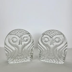 Puede incluir: Dos figuras de búho de cristal transparente. Cada búho tiene un diseño detallado con ojos grandes, una cabeza texturizada y detalles de alas. Los búhos se muestran sobre un fondo blanco liso.