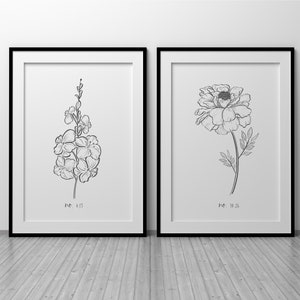 May include: Two framed botanical art prints. One features a detailed line drawing of a cluster of flowers, labeled "no. 13". The other depicts a peony, labeled "no. 23". Both are in black frames.
