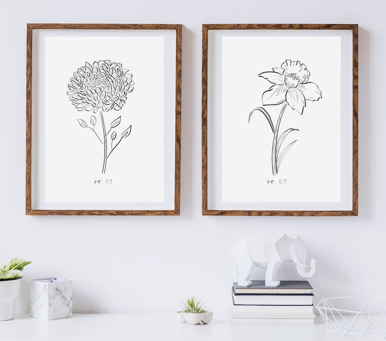 May include: Two framed botanical art prints. One features a detailed line drawing of a chrysanthemum, the other a daffodil. Both are in dark wood frames, with the text "no. 11.1" and "no. 12.11" below the flowers. The prints are displayed on a white wall.
