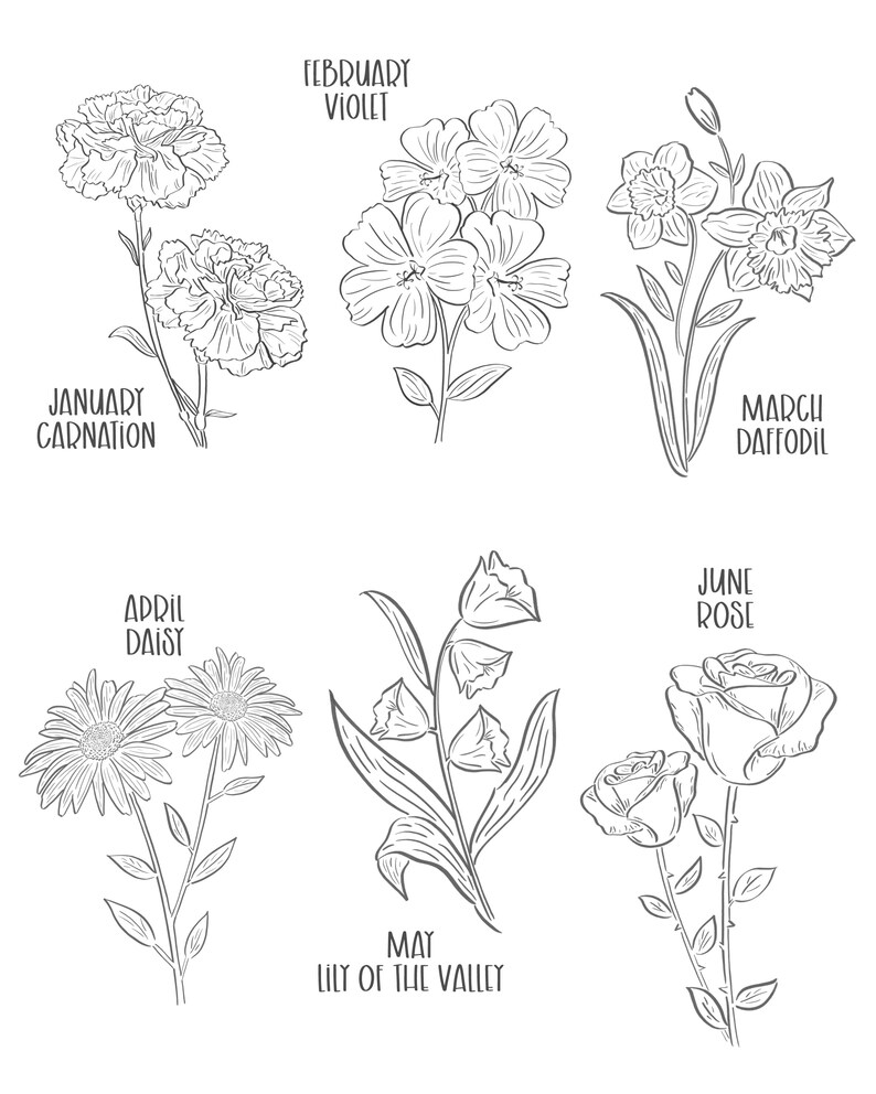 May include: Black and white line art illustration of six different flowers. The flowers are labeled with their corresponding birth month: January Carnation, February Violet, March Daffodil, April Daisy, May Lily of the Valley, and June Rose.