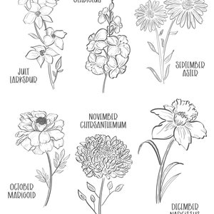 May include: Black and white line art illustration of various flowers, including July Larkspur, August Gladiolus, September Aster, October Marigold, November Chrysanthemum, and December Narcissus. Each flower is labeled with its corresponding month.