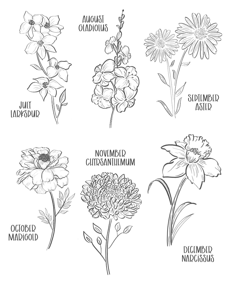 May include: Black and white line art illustration of various flowers, including July Larkspur, August Gladiolus, September Aster, October Marigold, November Chrysanthemum, and December Narcissus. Each flower is labeled with its corresponding month.