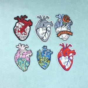 Peut inclure: Six écussons brodés représentant des cœurs anatomiques. Un est rouge avec des motifs de vagues blancs, un est en niveaux de gris, un montre un cœur avec une rose et une bannière ROSE & LOVE, un est rose et bleu sarcelle, un paysage de montagne, et un rouge et blanc.