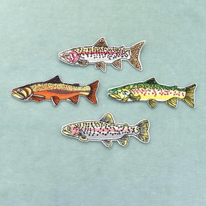 May include: Four embroidered fish patches arranged in a diamond pattern. The top and bottom patches depict trout with silver, pink, and black speckled bodies. The left patch is orange and brown, while the right patch is yellow and green with spots.