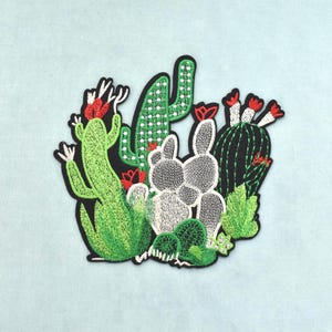 Pode incluir: Um emblema bordado apresentando um grupo de vários cactos em tons de verde, prata e branco, acentuados com pequenas flores vermelhas. O design é colocado sobre um fundo preto com uma borda preta espessa delineando todo o arranjo de cactos.