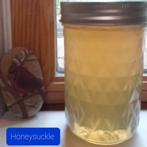 Wildcrafted Honeysuckle, Rose and Dandelion Jelly