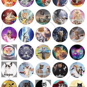 Cats - Cat Pet Kitty Inspired Printable 1.53-inch Circle Digital Collage Instant Download