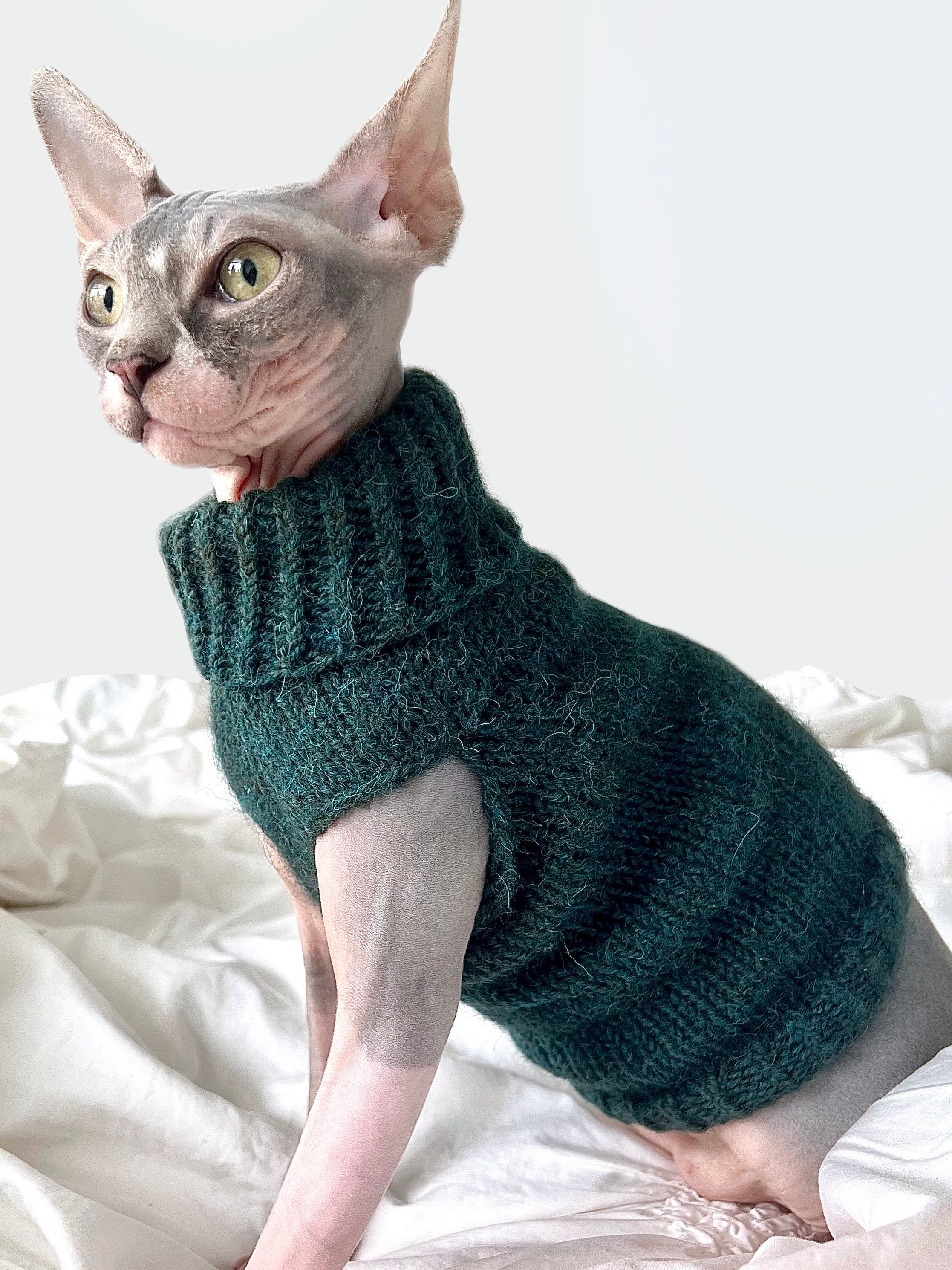 Sphynx Cat Pajamas  Cat Pajamas for Cats, Sphynx Cat LV Pajamas