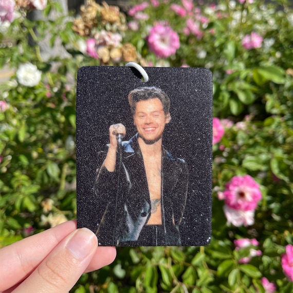 Harry Styles Air Freshener Grammys 2021 Car Air Etsy