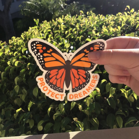 Made for dreamers butterfly bracelet deals