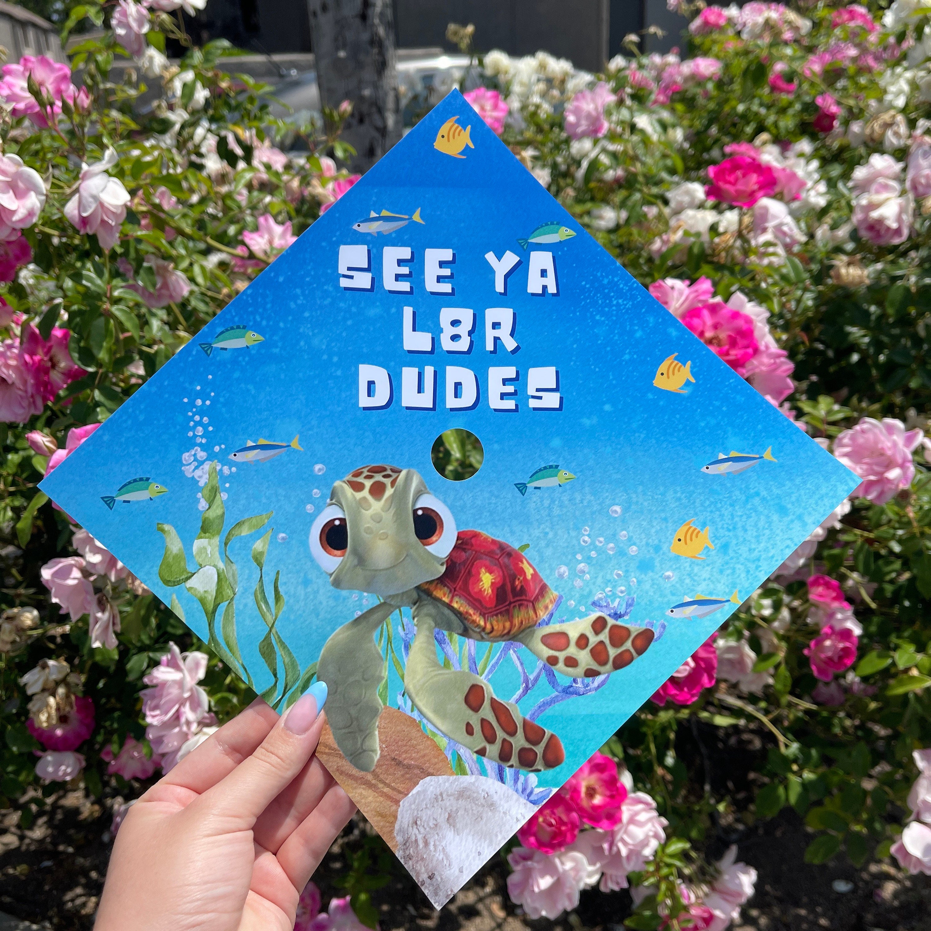 Funny Grad Cap - Etsy Funny Grad Cap - Etsy