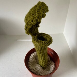 Trumpet Pitcher Plant Crochet Pattern