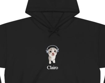 Clairo Cat Hoodie Fan Merch Cute Cat Listening to Music Funny Hoodie