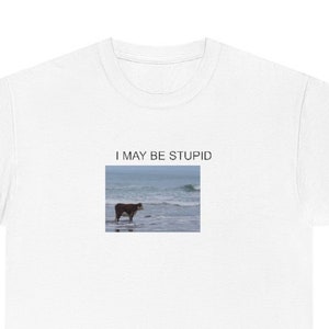 I may be stupid shirt | Funny T Shirt | Meme Gift