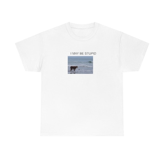 I may be stupid shirt | Funny T Shirt | Meme Gift