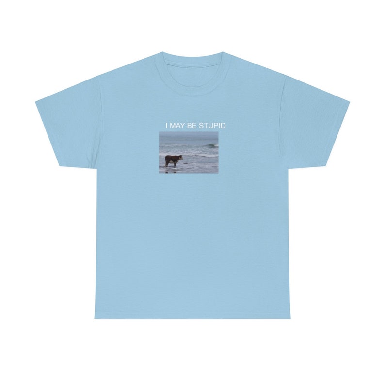 Puedo ser una camisa estúpida / Camiseta divertida / Regalo meme Light Blue