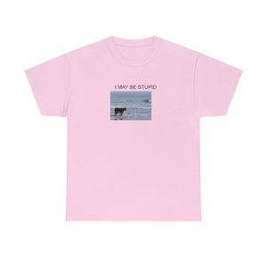 Puedo ser una camisa estúpida / Camiseta divertida / Regalo meme Light Pink