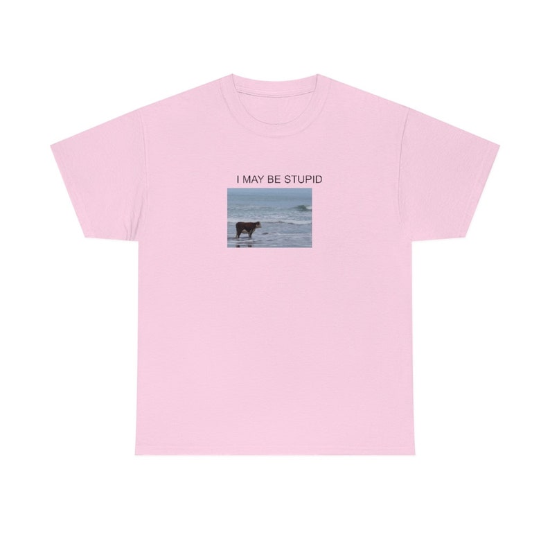 Puedo ser una camisa estúpida / Camiseta divertida / Regalo meme Light Pink