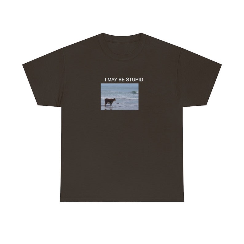 Puedo ser una camisa estúpida / Camiseta divertida / Regalo meme Dark Chocolate