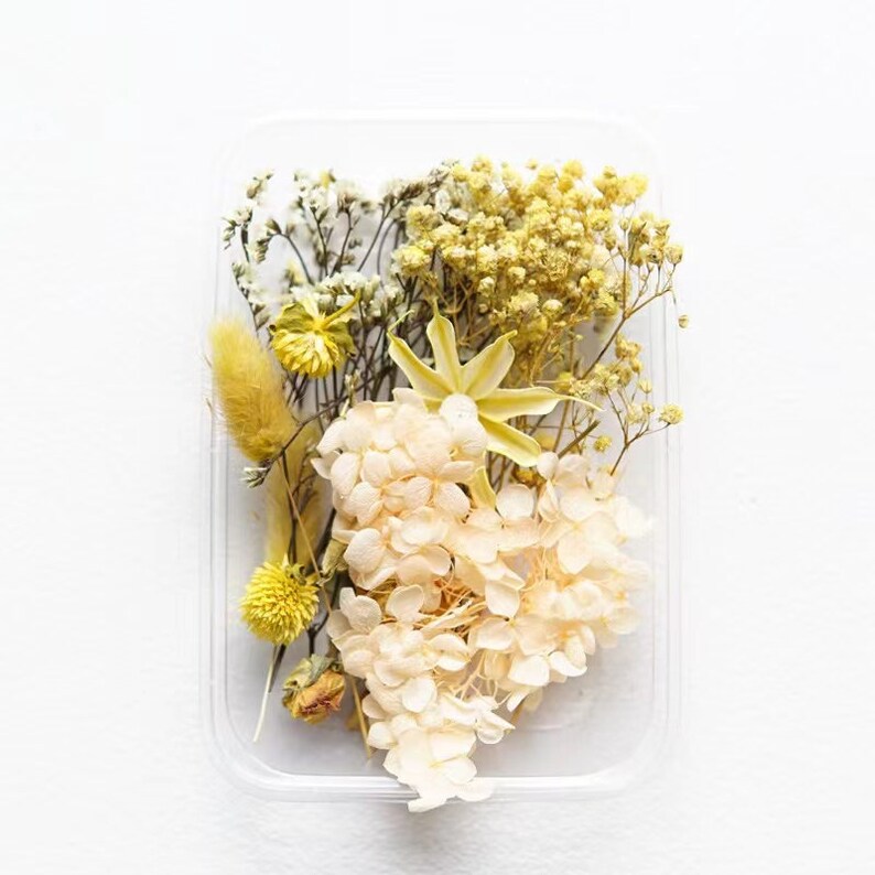 Dry Flowers for Candlesnatural Dried Flowers for Etsy