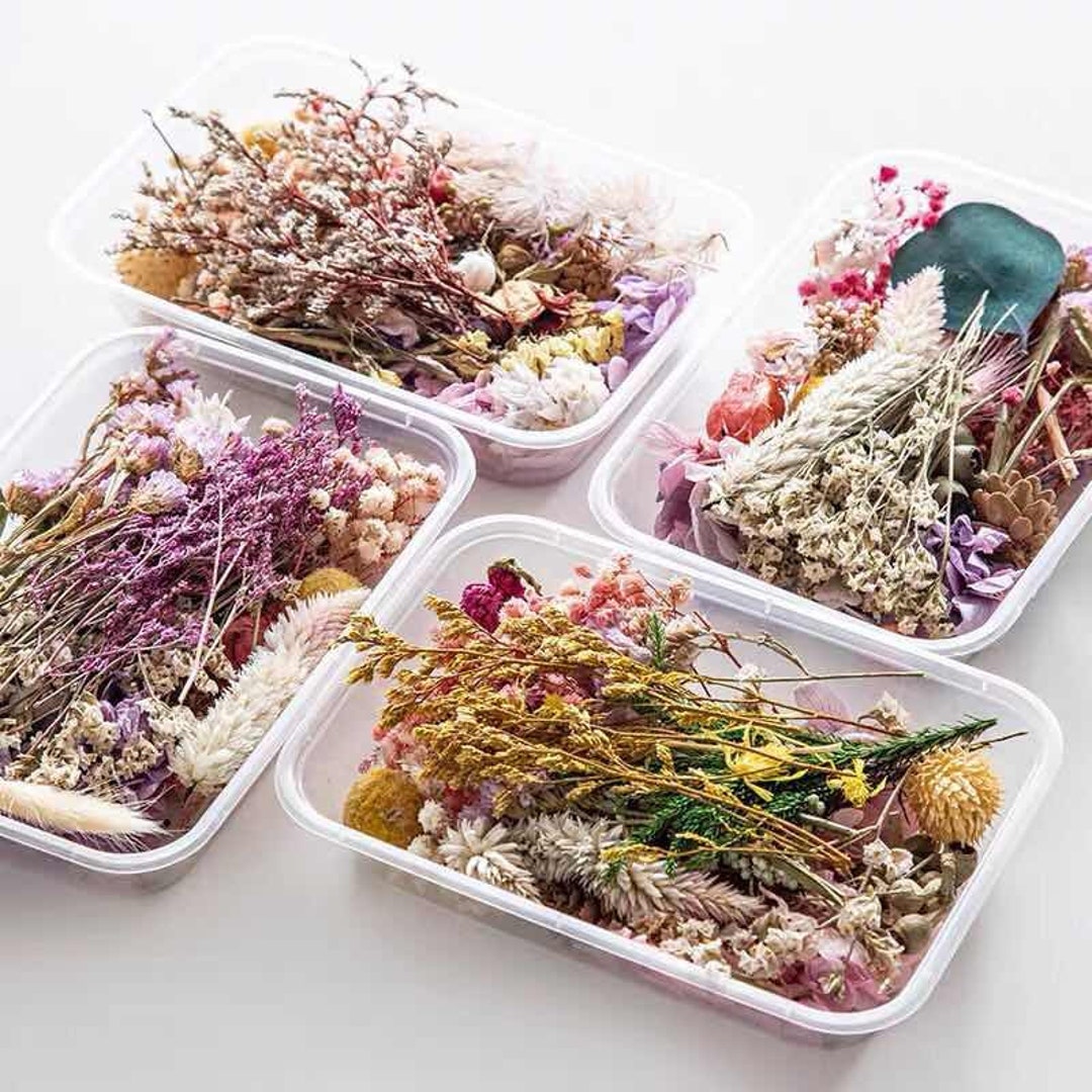 Natural Dried Flowers for Candle, Soap, Resin Decoration,dry Flowers