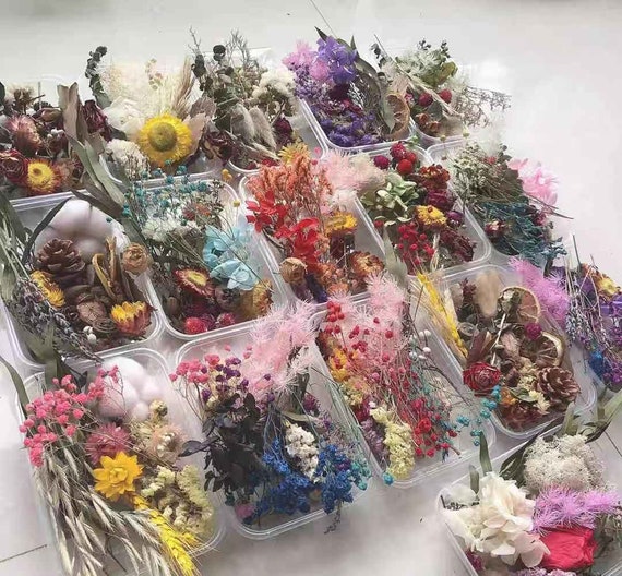 Dried Flowers for Soap,candle,soap Making Diy,resin Filling,dried Flowers  Art,soap Making Supplies,dried Flowers for Resin,random Flowers 