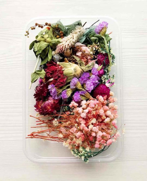 Dried Flowers for Soap,candle,soap Making Diy,resin Filling,dried Flowers  Art,soap Making Supplies,dried Flowers for Resin,random Flowers 