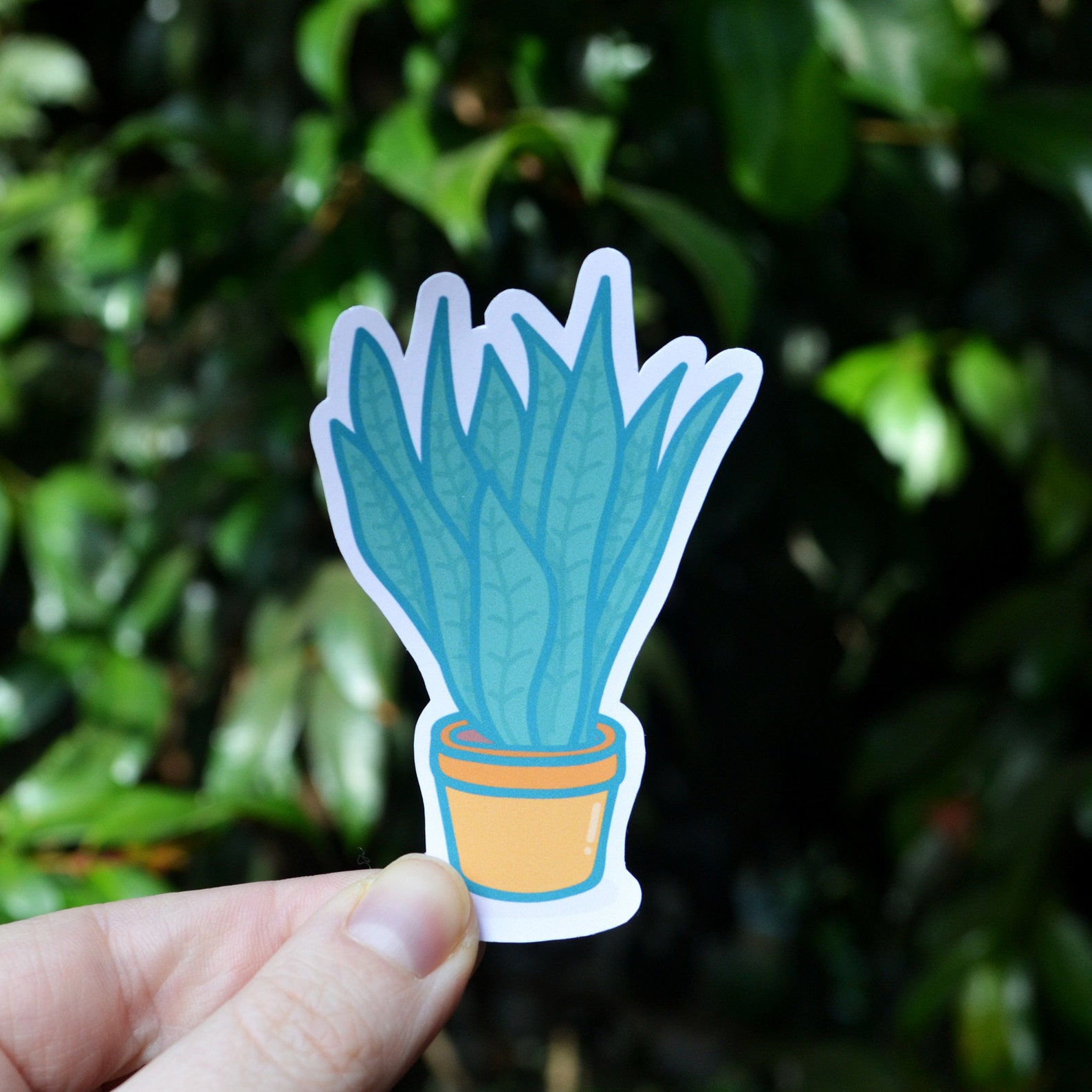 Plant Sticker Pack 5 Pack Stickers Plant Stickers Matte Etsy