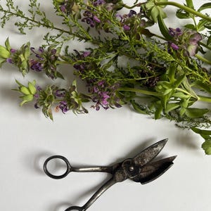 1800&#39;s Candle Wick Scissors