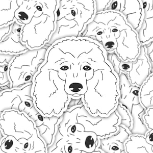 Sticker | Magnet | Poodle dog sticker | dog sticker | poodle magnet | waterproof sticker | show dog sticker | poodle magnet