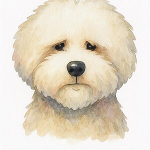 Coton de Tulear | Watercolor Portrait | Digital Download | Dog Portrait