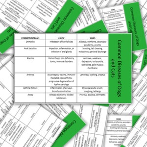 Uitgebreide badgekaart - voor ID-badgeclip haspel - referentiekaart zakgids dierenarts - dierenarts - assistent dierenarts