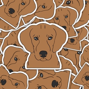 Sticker | Magnet | Vizsla dog sticker | waterproof sticker | vizsla | big dog | hound sticker | vizsla magnet | dog magnet