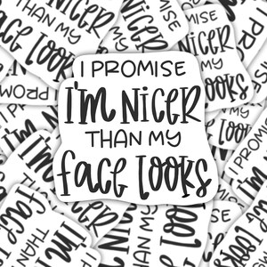 Sticker | Magnet | I promise I’m nicer than my face looks sticker | waterproof sticker | funny quote sticker | quote magnet