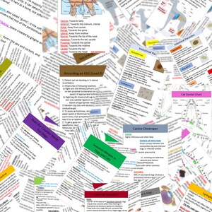 Het complete badgekaartpakket - Referentiekaartvakgids Dierenartsgeneeskunde- Dierenartstechnicus- Dierenartsassistent