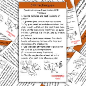 Puede incluir: Un diagrama que muestra las técnicas de RCP para perros. El diagrama muestra cómo extender la cabeza y el cuello, abrir las mandíbulas, colocar las manos alrededor del hocico, realizar compresiones torácicas y dar respiraciones. El diagrama también incluye texto que describe los pasos en detalle.