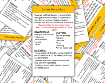 Comprehensive Badge Card- for ID Badge Clip Reel- Reference Card Pocket Guide Veterinarian Medicine- Vet Technician- Vet Assistant