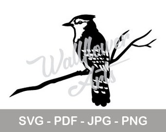 Blauhäher SVG - Metall Vogel SVG - Blauhäher Download - Cricut Blauhäher Datei - Silhouette Datei - Clip Art Vogel - Cut Vinyl Datei