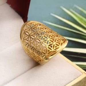May include: A gold-toned ring with a geometric, flower-like design. The ring is made of metal and has a hollow, openwork design.