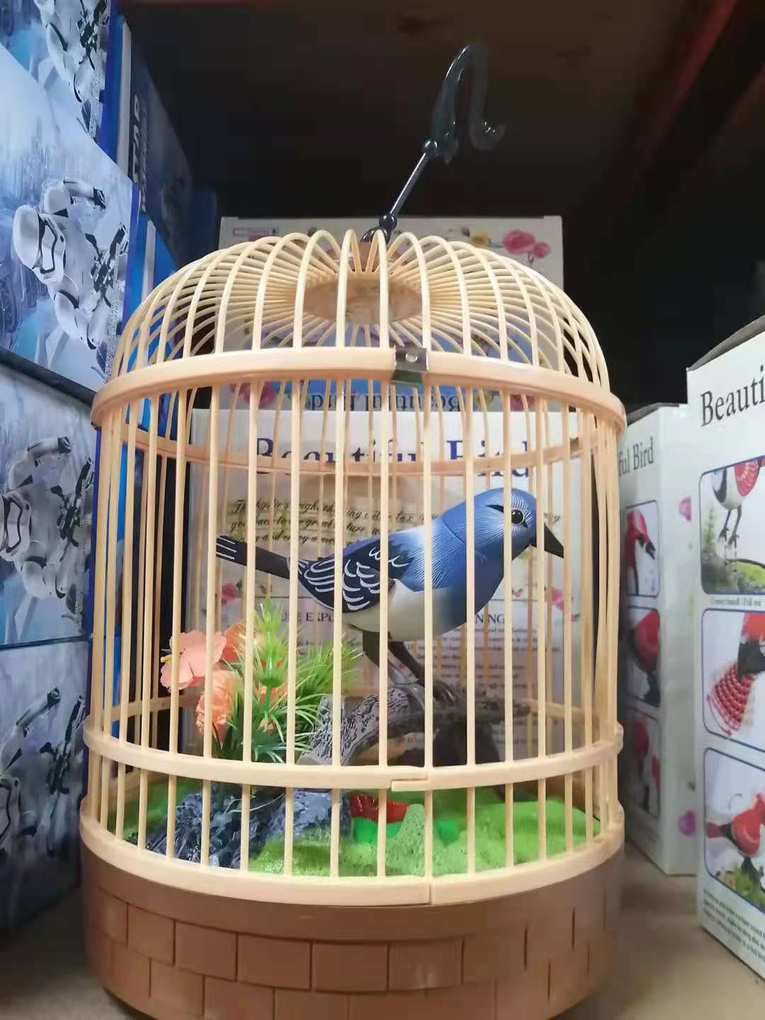 Blue jay singing style in cage/ singing bird in | Etsy